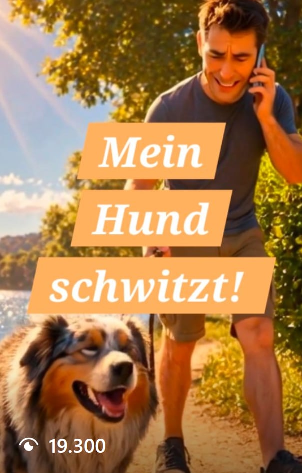 Mein Hund schwitzt!